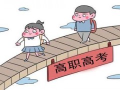什么是高职高考？