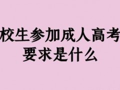 技校生如何报名高考？
