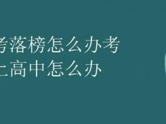 中考志愿没填好落榜了怎么办？