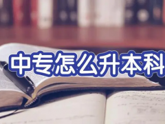 中专可以跳过大专考本科吗？